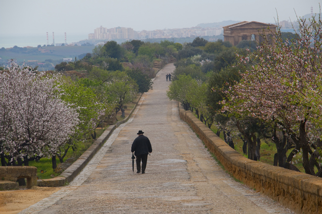Agrigento Visitor, Sicily